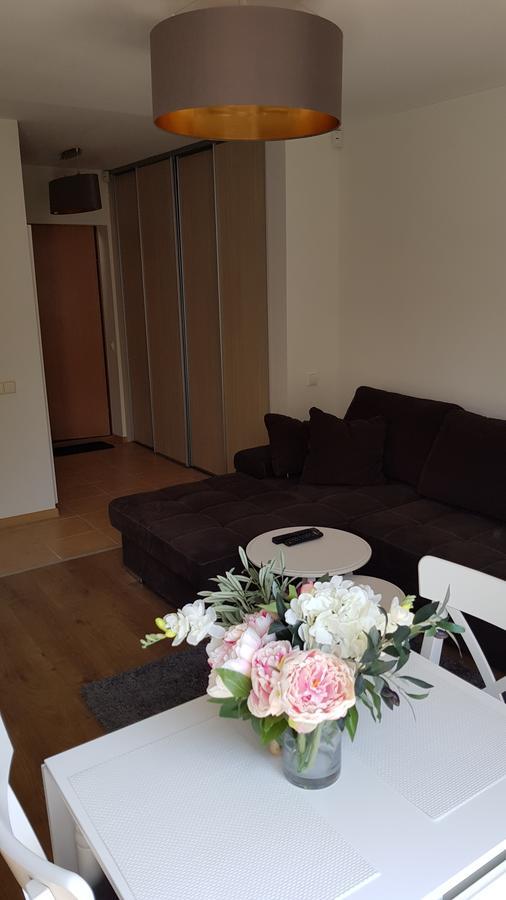 Cozy Garden Free Parking Lägenhet VNO Exteriör bild